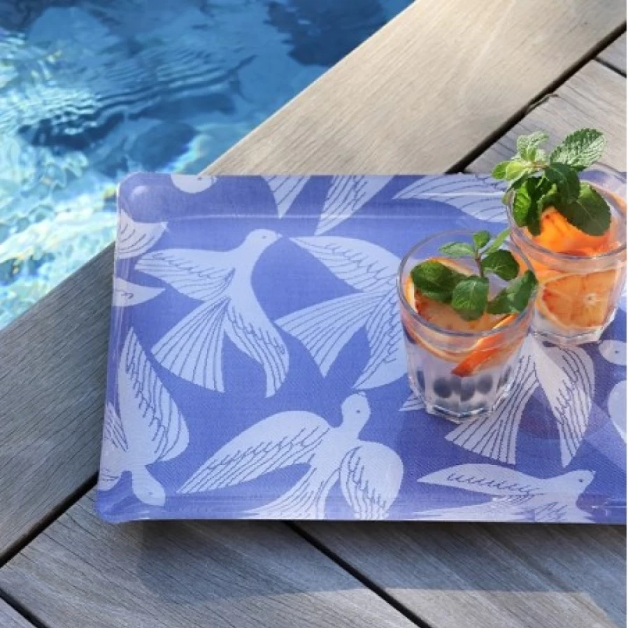 JEAN-VIER Blue Plastic Serving Tray - Durable & Stylish Tableware for Dining & Entertaining